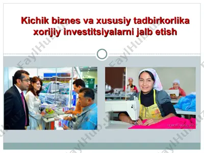 kichik biznes va xususiy tadbirkorlika xorijiy investitsiyalarni jalb etish — PPT