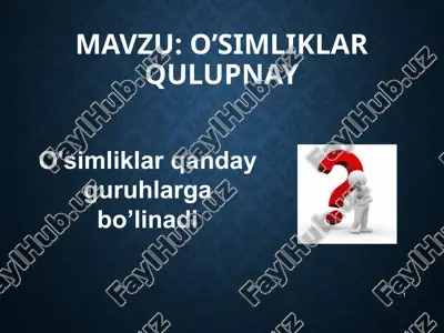 o'simliklar qulupnay — PPTX