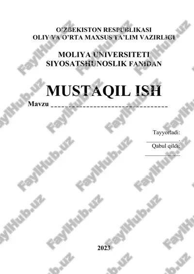 mustaqil ish — DOCX