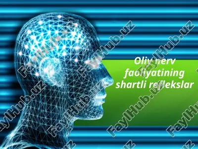 oliy nerv faoliyatining shartli reflekslar — PPTX