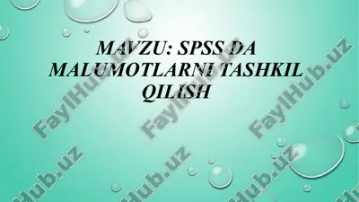spss dasturi — PPTX