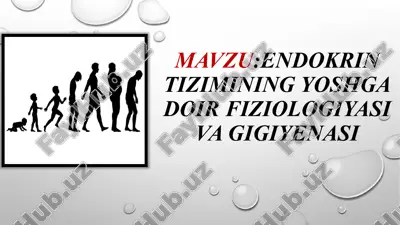 endokrin tizimining yoshga doir fiziologiyasi va gigiyenasi — PPTX