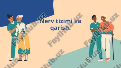 nerv tizimi va qarish — PPTX