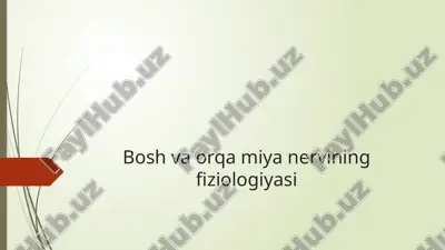 bosh va orqa miya nervining fiziologiyasi — PPTX