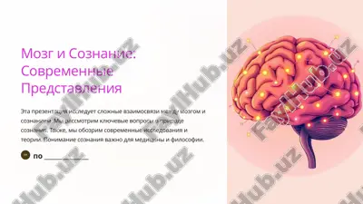 мозг и сознание: современные представления — PPTX