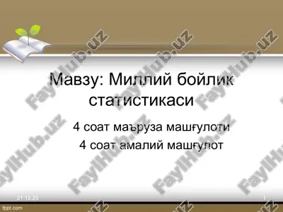 milliy boylik statistikasi — PPT