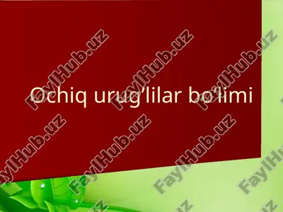 ochiq urug‘lilar bo‘limi — PPTX
