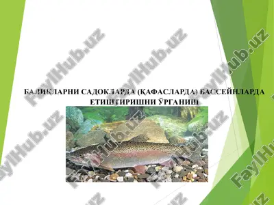 электрон почта — PPT