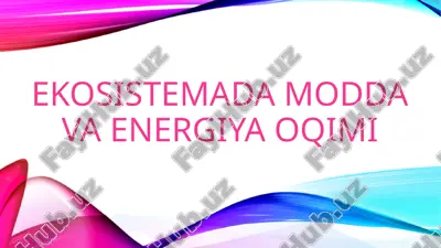 ekosistemada modda va energiya oqimi — PPTX