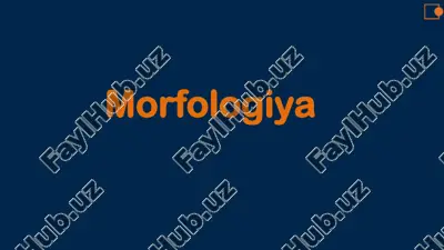 morfologiya — PDF