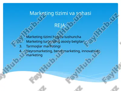marketing tizimi va sohasi — PPTX