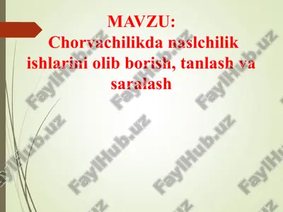 chorvachilikda naslchilik ishlarini olib borish, tanlash va saralash — PPT