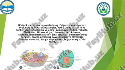 o'simlik va hayvon hujayralari — PPTX