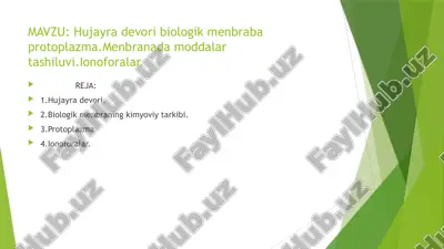 hujayra devori biologik menbraba protoplazma — PPTX