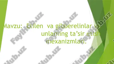 etilen va gibberelinlar va unlarning ta’sir etish mexanizmlari — PPTX