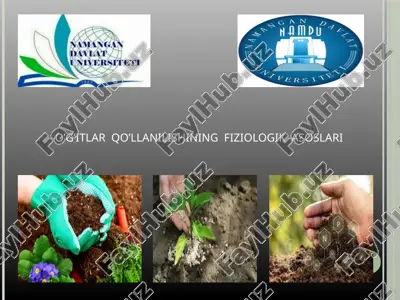 o’g’itlar  qo’llanilishining  fiziologik  asoslari — PPTX