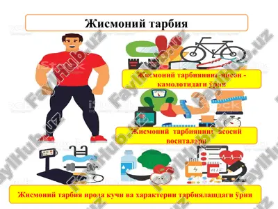 жисмоний tarbiya — PPT