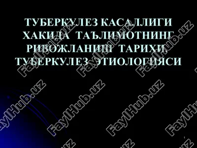 туберкулез касаллиги хакида — PPT