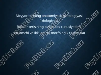 teri tuzilishi — PPT