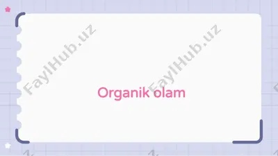 organik olam — ZIP