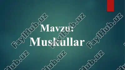 muskullar — PPTX