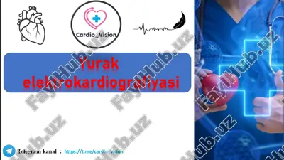 yurak fiziologiyasi — PPTX