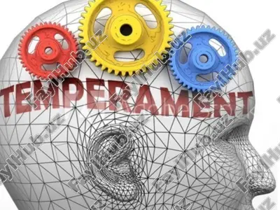 temperament — ZIP