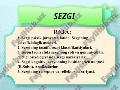 sezgi — ZIP