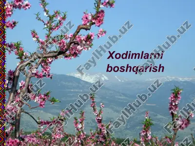 xodimlarni boshqarish — PPT