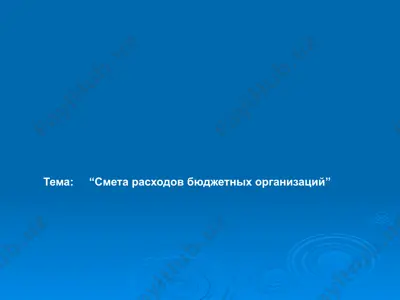 смета расходов бюджетных организаций — PPTX