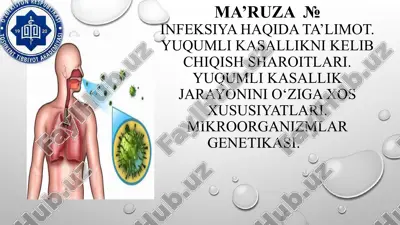 infeksiya haqida ta'limot — PPT