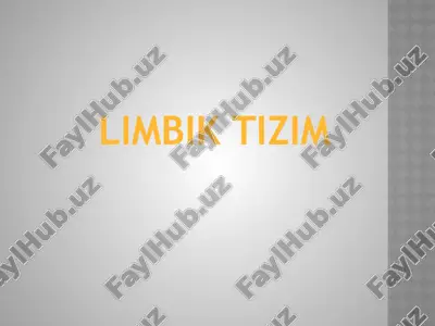 limbik tizim — ZIP