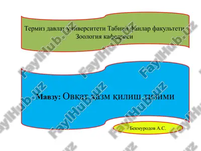 ovqat hazm qilish tizimi — PPTX