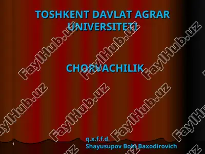 chorvachilik — PPT