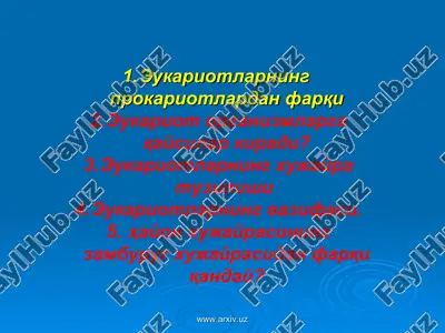 эукариотлар — ZIP