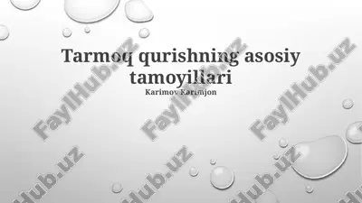 tarmoq qurishning asosiy tamoyillari — PPTX