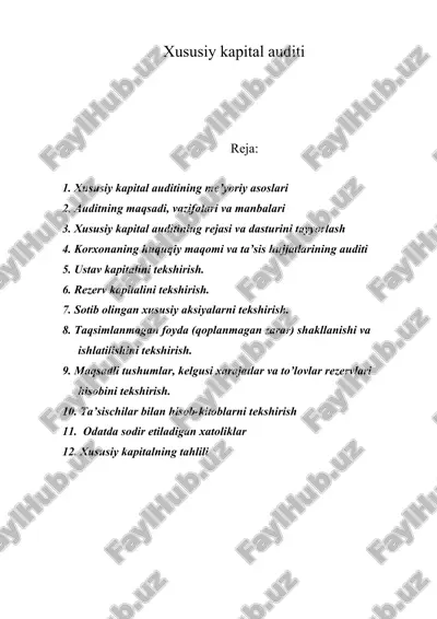 xususiy kapital auditi — ZIP