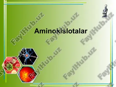 aminokislotalar — ZIP