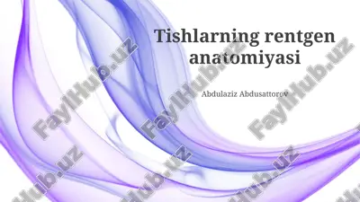 tishlarning rentgen anatomiyasi — PPTX