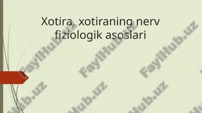 xotira, xotiraning nerv fiziologik asoslari — ZIP