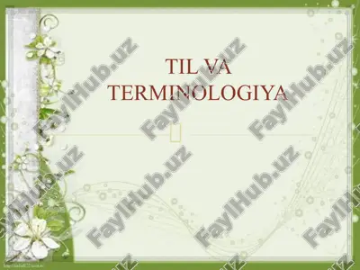 til va terminologiya — ZIP