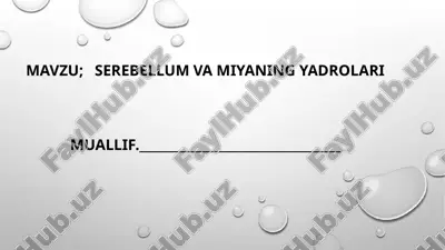 serebellum va miyaning yadrolari — PPTX