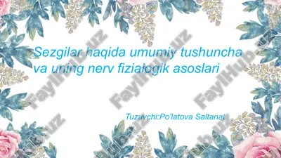 sezgilar haqida umumiy tushuncha va uning nerv fiziologik asoslari — PPTX