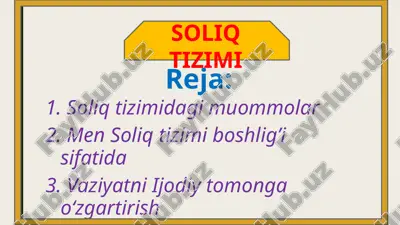 soliq tizimi — ZIP