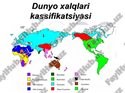 dunyo xalqlari klassifikatsiyasi — ZIP