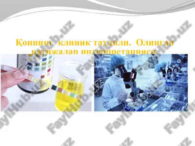 qonning klinik tahlili — PPTX