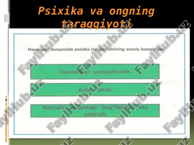 psixika va ongning taraqqiyoti — ZIP