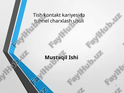 mustaqil ishi — PPTX