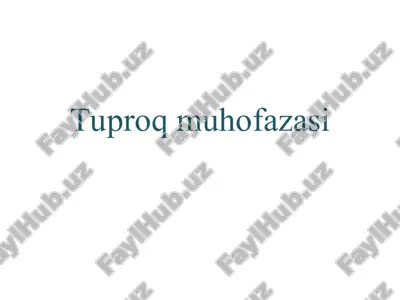 tuproq muhofazasi — ZIP