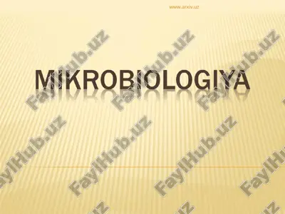 mikrobiologiya — ZIP